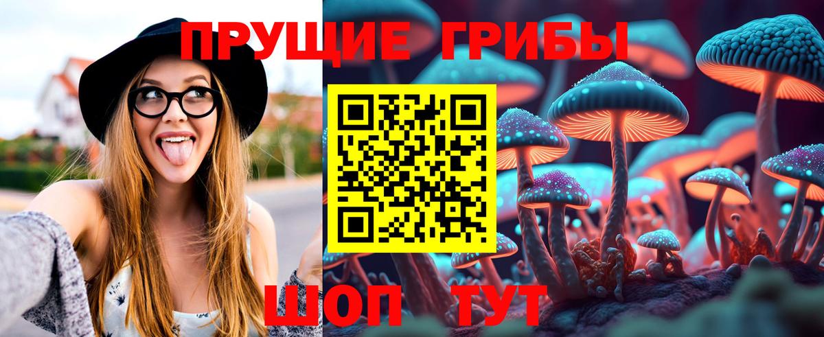 Галлюциногенные грибы Psilocybine cubensis Таганрог